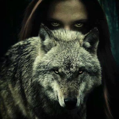 Profile Picture of Goga (@gogaj13) on Twitter