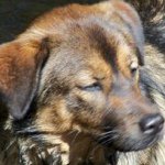 Profile Picture of Sherrie Gilkey (@sagilkey) on Instagram