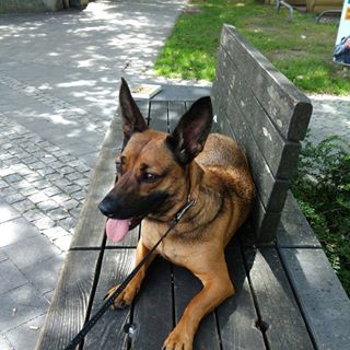 Profile Picture of Adam Schloser (@stefan.schloser) on Facebook