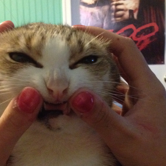 Profile Picture of Dave Griekspoor (@son_goku) on Poshmark