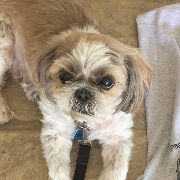 Profile Picture of Jim Watters (@jimwadds) on Poshmark