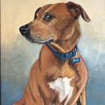 Rick Broderdorf - Instagram Profile Picture of Rick Broderdorf (@peanutman_14) on Instagram