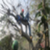 Profile Picture of Deepak Ghimire (@bahadur2004) on Flickr