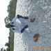 Profile Picture of Amedu Amedu (@amidou.togala.12) on Facebook