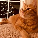 Profile Picture of Chris Withrow (@cdub6920) on Instagram
