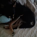 Profile Picture of Jeff Mcnary (@Jeff-Mcnary) on Facebook