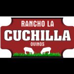 Profile Picture of LUIS CARLOS TABOADA CUMPLIDO (@rancho_la_cuchilla) on Instagram