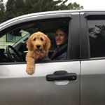 Profile Picture of Robert Piercey (@robert.g.p) on Instagram