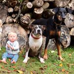 Profile Picture of Eva Petersen (@eva_alice_p) on Instagram