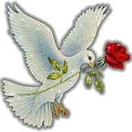 Profile Picture of Saeid Salam (@saeid_nabil) on Twitter