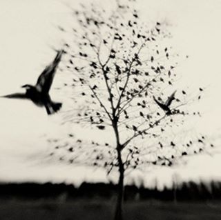 Profile Picture of Paul Lomano (@plomano) on Facebook