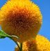 Profile Picture of Adam Saaid (@adam.saaid.5059) on Facebook