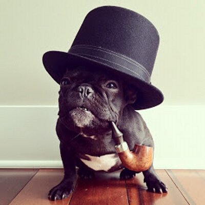 Profile Picture of Joshua Fleischer (@WaggishYonker) on Twitter