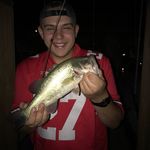 Profile Picture of Brett Neader (@neaderbrett) on Instagram