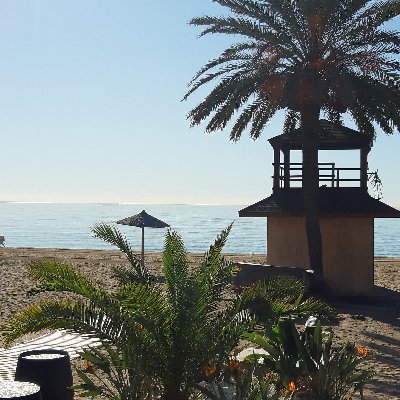 Profile Picture of Robert (@robert_baz) on Twitter