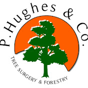 Profile Picture of P. Hughes & Co. Tree Surgery & Forestry (@p.hughesco.treesurgeryfore4266) on Youtube