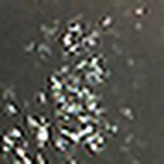 Profile Picture of Andrew Cinco (@abcinco) on Flickr