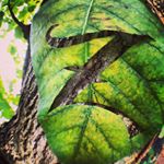 Profile Picture of christopherzielinski (@christopherzielinski) on Instagram