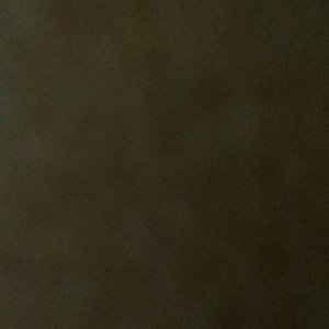 Profile Picture of Bill Gendron (@@f64681eeaab04a3) on Twitter