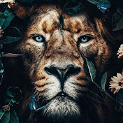 Profile Picture of Christopher Eddy (@christophereddy5438) on Youtube