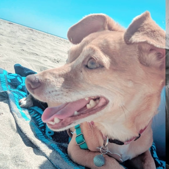 Profile Picture of Cari Cari (@cari2106) on Poshmark