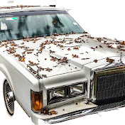 Profile Picture of Christopher Harmon (@cutlassmusic) on Youtube