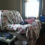 Profile Picture of Matt Bice (@mattbice78) on Instagram