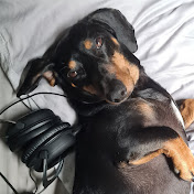 Profile Picture of Corey Carmichael (@coreycarmichael9934) on Youtube