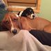 Profile Picture of Joel Danielson (@joe.danielson.146) on Facebook