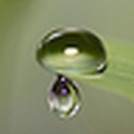 Profile Picture of Charlie Llewellyn (@charlie.j.llewellyn) on Flickr