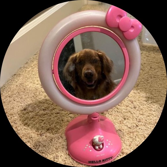 Profile Picture of Quinn Ryan (@quinnryan) on Poshmark
