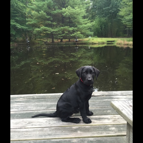 Profile Picture of Cande Morgart (@canmor) on Poshmark