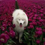 Jack Gerhardinger - Instagram Profile Picture of Jack Gerhardinger (@donaldtrashman) on Instagram