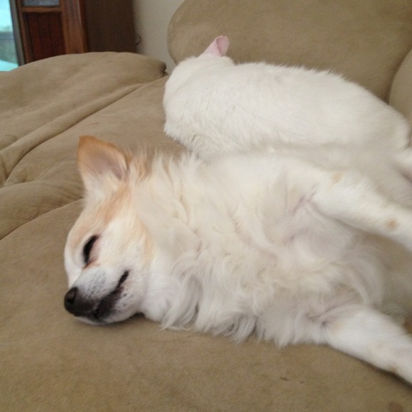 Profile Picture of Kristen Routt (@kristenroutt) on Poshmark