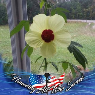 Profile Picture of Hazel Graff (@Hazel-Graff) on Facebook