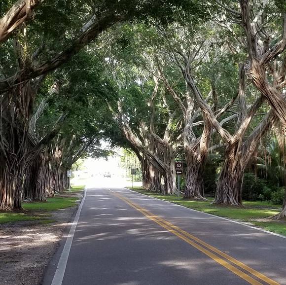 Profile Picture of Rosalie Winegardner (@leewine) on Poshmark