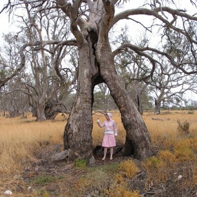 Profile Picture of Penny McCulloch (@penny_h_mcc) on Twitter