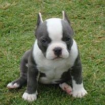 Profile Picture of John Kearl (@john.kearl.9) on Facebook