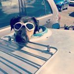 Profile Picture of Richard Whitlock (@rikwhit) on Instagram