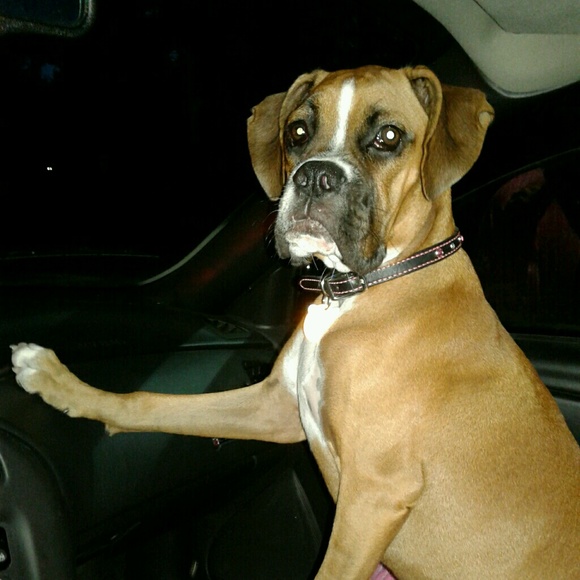 Ulysses Brown - Poshmark Profile Picture of Ulysses Brown (@ulyssesbrown) on Poshmark