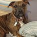 Profile Picture of Jason Dameron (@dameron0859) on Pinterest