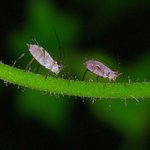 Profile Picture of Jonathon Kenny (@jonathonkenny) on Instagram