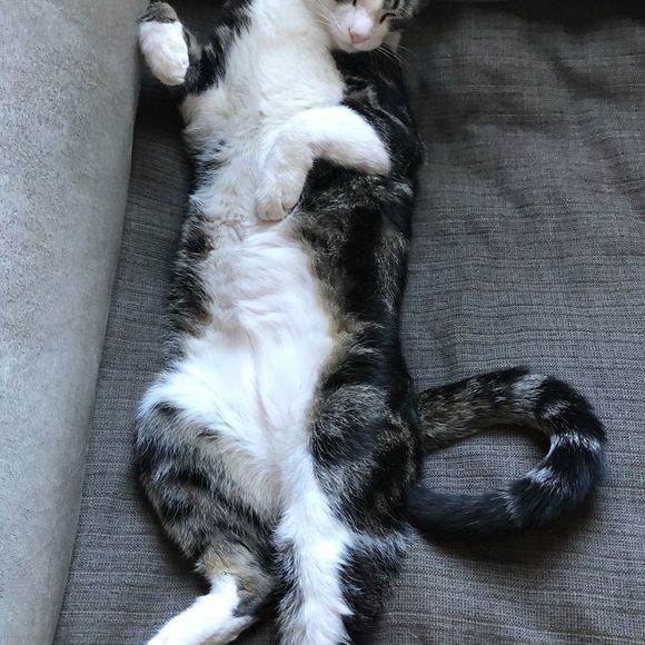 Profile Picture of Arthur Moore (@racerx31) on Poshmark