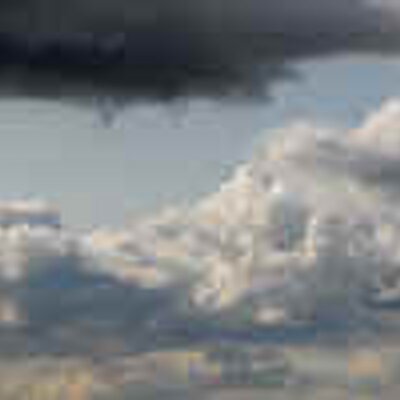 Profile Picture of Robbie  Paylor (@dolphin_robert) on Twitter