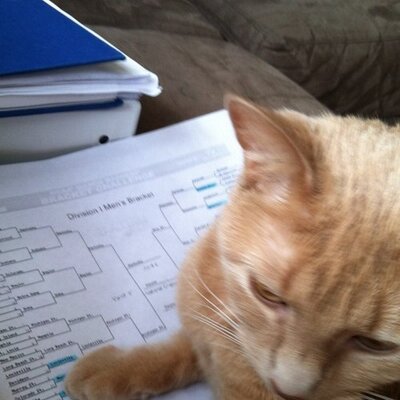 Profile Picture of David Guzik (@dpgoose) on Twitter