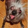 Profile Picture of Brian Spotts (@brians4847) on Pinterest