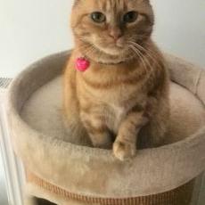 Profile Picture of Pat Van Doren (@PatDoren) on Twitter