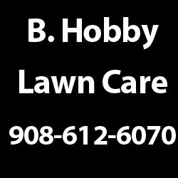Profile Picture of Brian Hobby (@BHobbyLawnCare) on Twitter