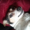 Profile Picture of alicemcmanus (@johnterry123094) on Tiktok
