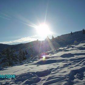 Profile Picture of Teddy Blevins (@teddyblevins500) on Pinterest